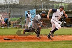 Landesliga Süd - Baseball Ingolstadt Schanzer - München Caribes - Foto: Jürgen Meyer