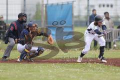 2. Bundesliga Süd - Baseball - Ingolstadt Schanzer gegen München Caribes  - Dambacher J. Schanzer Ingolstadt weiss - Foto: Jürgen Meyer