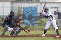 2. Bundesliga Süd - Baseball - Ingolstadt Schanzer gegen München Caribes  - Dambacher J. Schanzer Ingolstadt weiss - Foto: Jürgen Meyer