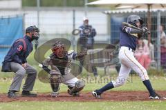 2. Bundesliga Süd - Baseball - Ingolstadt Schanzer gegen München Caribes  - Catcher Lenin Santa Cruz Trainer Schanzer Ingolstadt - Foto: Jürgen Meyer