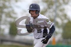 2. Bundesliga Süd - Baseball - Ingolstadt Schanzer gegen München Caribes  - Mürling M. Schanzer Ingolstadt weiss - Foto: Jürgen Meyer