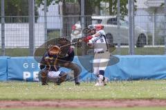 2. Bundesliga Süd - Baseball - Ingolstadt Schanzer gegen München Caribes  - Pastore K. weiss Schanzer Ingolstadt - Foto: Jürgen Meyer