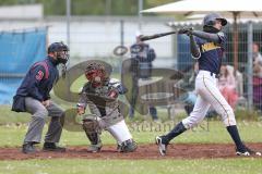 2. Bundesliga Süd - Baseball - Ingolstadt Schanzer gegen München Caribes  - Catcher Lenin Santa Cruz Trainer Schanzer Ingolstadt - Foto: Jürgen Meyer