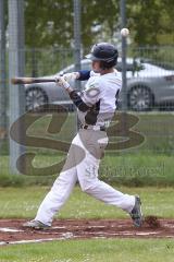 2. Bundesliga Süd - Baseball - Ingolstadt Schanzer gegen München Caribes  - Reed S. Schanzer Ingolstadt weiss - Foto: Jürgen Meyer