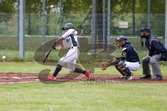 2. Bundesliga Süd - Baseball - Ingolstadt Schanzer gegen München Caribes  - #24 Riestra F. Schanzer Ingolstadt - Foto: Jürgen Meyer