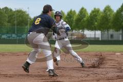 2. Bundesliga Süd - Baseball - Ingolstadt Schanzer gegen München Caribes  - Reed S. Schanzer Ingolstadt weiss - Foto: Jürgen Meyer