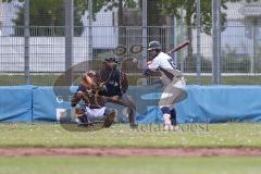 2. Bundesliga Süd - Baseball - Ingolstadt Schanzer gegen München Caribes  - Pastore K. weiss Schanzer Ingolstadt - Foto: Jürgen Meyer