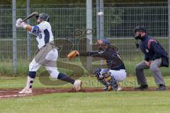 2. Bundesliga Süd - Baseball - Ingolstadt Schanzer gegen München Caribes  - Pastore D. weiss - Schanzer Ingolstadt - Foto: Jürgen Meyer