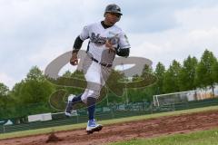 2. Bundesliga Süd - Baseball - Ingolstadt Schanzer gegen München Caribes  - Garcia D. Schanzer Ingolstadt weiss - Foto: Jürgen Meyer