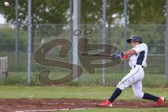 2. Bundesliga Süd - Baseball - Ingolstadt Schanzer gegen München Caribes  -Riestra F. Schanzer Ingolstadt weiss - Foto: Jürgen Meyer