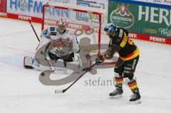 Penny DEL - Eishockey - Saison 2021/22 - ERC Ingolstadt - Fishtown Pinguin Bremerhaven -  B.Maxwell Torwart Bremerhaven - Frederik Storm (#9 ERCI) - Foto: Jürgen Meyer