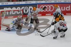 Penny DEL - Eishockey - Saison 2021/22 - ERC Ingolstadt - Fishtown Pinguin Bremerhaven - #B.Maxwell Torwart bremerhaven - David Warsofsky (#55 ERCI) - # Foto: Jürgen Meyer