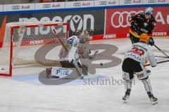 Penny DEL - Eishockey - Saison 2021/22 - ERC Ingolstadt - Fishtown Pinguin Bremerhaven -  B.Maxwell Torwart Bremerhaven - Louis-Marc Aubry (#11 ERCI) - Foto: Jürgen Meyer