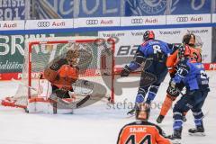 DEL; ERC Ingolstadt - Grizzlys Wolfburg; Tor Jubel Treffer Philipp Krauss (Nr.8 - ERC) Torwart Dustin Strahlmeier (Nr.1 - Grizzlys) Luis Schinko (Nr.63 - Grizzlys)