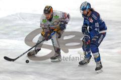 Penny DEL - Eishockey - Saison 2021/22 - ERC Ingolstadt - Eisbären Berlin - Mirko Höflin (#10 ERCI) - Marco Baßler (Nr.44 - Eisbären Berlin) -  Foto: Jürgen Meyer