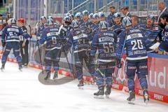 Penny DEL - Eishockey - Saison 2021/22 - ERC Ingolstadt - Grizzlys Wolfsburg - Brandon Defazio (#24 ERCI) mit dem 2:3 Anschlusstreffer - jubel - Abklatschen an der Bande - Foto: Jürgen Meyer