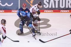 DEL - ERC Ingolstadt - Kölner Haie - Ryan Kuffner (12 - ERC) Lucas Dumont (Nr.13 - Kölner Haie)