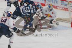 Penny DEL - Eishockey - Saison 2021/22 - ERC Ingolstadt - Red Bull München -  Louis Brune (#50 ERCI) - Danny aus den Birken Torwart (#33 München) - Foto: Jürgen Meyer