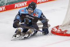 DEL; Playoffs; ERC Ingolstadt - DEG Düsseldorf; Tye Ronning (26 ERC)