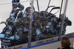 DEL; Playoffs; ERC Ingolstadt - DEG Düsseldorf; Tor Jubel Treffer Siegtreffer Stefan Matteau (17 ERC) und alle Spieler feiern an der Glasscheibe bei den Fans