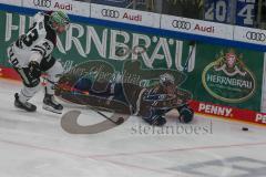 Penny DEL - Eishockey - Saison 2021/22 - ERC Ingolstadt - Krefeld Pinguine - Philipp Mass (#83 Krefeld) - Louis-Marc Aubry (#11 ERCI) -  Foto: Jürgen Meyer
