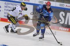 DEL - Eishockey - Saison 2020/21 - ERC Ingolstadt - Krefeld Pinguine - Brandon Defazio (#24 ERCI) - Maximilian Glässl (#59 Krefeld) - Foto: Jürgen Meyer