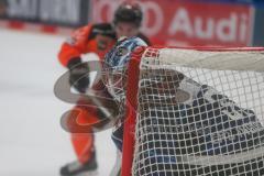 Penny DEL - Eishockey - Saison 2021/22 - ERC Ingolstadt - Grizzlys Wolfsburg - Karri Rämö Torwart (#31 ERCI) -  Foto: Jürgen Meyer