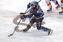 Penny DEL - Eishockey - Saison 2021/22 - ERC Ingolstadt - Grizzlys Wolfsburg -  Chris Bourque (#77 ERCI) - Foto: Jürgen Meyer