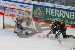 Penny DEL - Eishockey - Saison 2021/22 - ERC Ingolstadt - Fishtown Pinguin Bremerhaven -  B.Maxwell Torwart Bremerhaven - Louis-Marc Aubry (#11 ERCI) - Foto: Jürgen Meyer