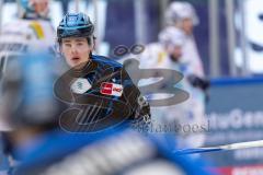 DEL; ERC Ingolstadt - Dresdner Eislöwen; vor dem Spiel Krauß Philipp (8 ERC)