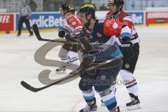 CHL - Eishockey - ERC Ingolstadt - Frölunda Göteborg - Saison 2015/2016 - David Elsner (#61 ERC Ingolstadt) - Foto: Jürgen Meyer