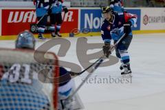 Championsleague - CHL - ERC Ingolstadt - Växjö Lakers (VLH) - Saison 2015/2016 - David Elsner (#61 ERC Ingolstadt) - Foto: Jürgen Meyer