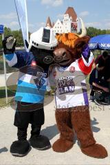 ERC Ingolstadt - Bayrisch-Schottisches Fanfest - Maskottchen von  Braehead und ERC Xaverl - Foto: Jürgen Meyer