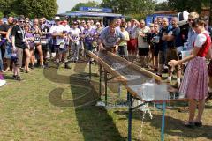 ERC Ingolstadt - Bayrisch-Schottisches Fanfest - Braehead Fan`s beim Maßkrug schieben - Foto: Jürgen Meyer