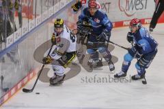 DEL - Eishockey - Saison 2020/21 - ERC Ingolstadt - Krefeld Pinguine - Philipp Mass (#83 Krefeld) - Foto: Jürgen Meyer