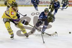 ERC Ingolstadt - Krefeld Pinguine - Jared Ross (#42 ERC Ingolstadt) - David Fischer #3 Krefeld - Foto: Jürgen Meyer