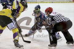 ERC Ingolstadt - Krefeld Pinguine - Jared Ross (#42 ERC Ingolstadt) beim Bully -  Foto: Jürgen Meyer