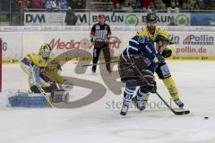 ERC Ingolstadt - Krefeld Pinguine - Stephan Kronthaler (#8 ERC Ingolstadt) - Tomas Duba Torwart Krefeld - David Fischer #3 gelb Krefeld - Foto: Jürgen Meyer