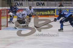 Im Bild: Kris Foucault (#81 ERC) schießt auf das Tor

Eishockey - Herren - DEL - Saison 2019/2020, Spiel 2 - 17.09.2019 -  ERC Ingolstadt - Nürnberg Ice Tigers - Foto: Ralf Lüger