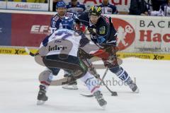 DEL - ERC Ingolstadt - Adler Mannheim - Petr Taticek (#17 ERC Ingolstadt) - Sascha Goc Mannheim - Foto: Jürgen Meyer