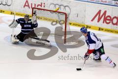 DEL - ERC Ingolstadt - Adler Mannheim - Timo Pielmeier (#51 ERC Ingolstadt) - Sinan Akdag #7 weiss Mannheim - Foto: Jürgen Meyer