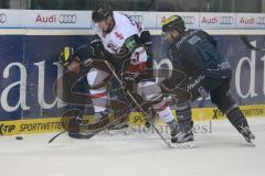 DEL - Eishockey - ERC Ingolstadt - Kölner Haie - Saison 2015/2016 - Brian Lebler (#7 ERC Ingolstadt) - Jared Ross (#42 ERC Ingolstadt) - Pascal Zerressen (#27 Köln) - Foto: Jürgen Meyer