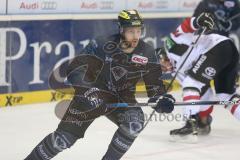 DEL - Eishockey - ERC Ingolstadt - Kölner Haie - Saison 2015/2016 - Petr Taticek (#17 ERC Ingolstadt) - Foto: Jürgen Meyer