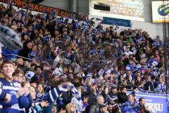 DEL - Eishockey - ERC Ingolstadt - Adler Mannheim - Saison 2016/2017 - Fans bejubeln den 1:1 Ausgleichstreffer - Jubel - Foto: Meyer Jürgen