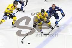 Im Bild: Jacob Lagacé (#19 Krefeld) und Maurice Edwards (#23 ERC)

Eishockey - Herren - DEL - Saison 2019/2020, Spiel 3 - 20.09.2019 -  ERC Ingolstadt - Krefeld Pinguines - Foto: Ralf Lüger
