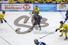Im Bild: Colin Smith (#88 ERC) Philip Riefers (#60 Krefeld) Niklas Postel (#29 Krefeld)

Eishockey - Herren - DEL - Saison 2019/2020, Spiel 3 - 20.09.2019 -  ERC Ingolstadt - Krefeld Pinuines - Foto: Ralf Lüger