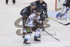 Im Bild: Kael Mouillierat (Straubing Tigers) und Petr Taticek (#17 ERC)

Eishockey - Herren - DEL - Saison 2019/2020 -  ERC Ingolstadt - Straubing Ice Tigers - Foto: Ralf Lüger