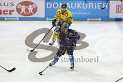 Im Bild: Colin Smith (#88 ERC) und Niklas Postel (#29 Krefeld)

Eishockey - Herren - DEL - Saison 2019/2020, Spiel 3 - 20.09.2019 -  ERC Ingolstadt - Krefeld Pinuines - Foto: Ralf Lüger