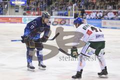 Im Bild: Petr Taticek (#17 ERC) und Derek DINGER (Augsburger Panther, 47)

Eishockey - Herren - DEL - Saison 2019/2020 -  ERC Ingolstadt - Augsburger Panther - Foto: Ralf Lüger