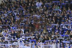 Im Bild: Fans in der Fan Kurve

Eishockey - Herren - DEL - Saison 2019/2020 -  ERC Ingolstadt - Augsburger Panther - Foto: Ralf Lüger